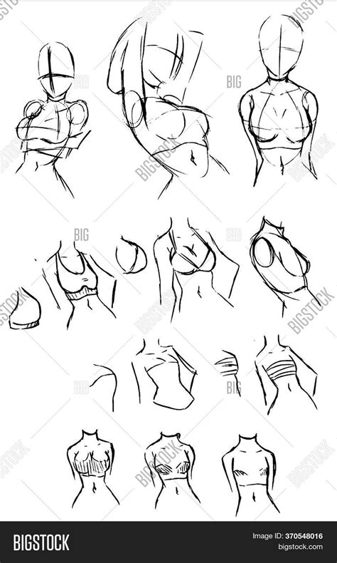 drawing breasts|How to Draw a Female Body (with Pictures) .